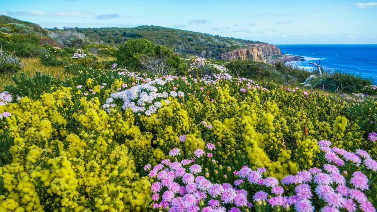 גנאראבופ By The Sea Margaret River מראה חיצוני תמונה